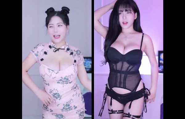 韩国BJ 智贤 韩国巨乳高颜值女神，抖奶热舞合集60V 第二弹