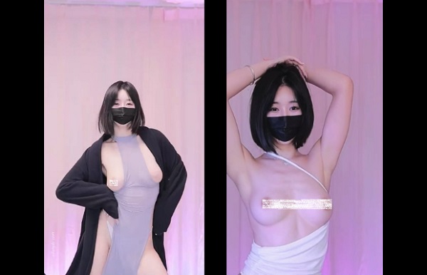 韩国BJ 智林 高颜值精品热舞17V