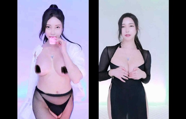 韩国BJ hidana 高颜值主播性感热舞23V【3.45G】