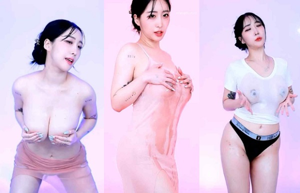 韩国BJ yso1004 高颜值主播薄纱睡裙打油影子舞40V【10.7G】