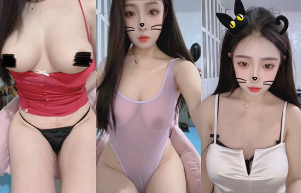 其他 小狸猫 私拍大奶裸舞，情趣丁子4V【312M】